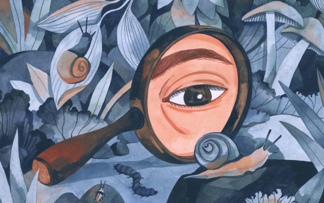 Species Sleuths: Amateur Naturalists Spark a New Wave of Discovery
