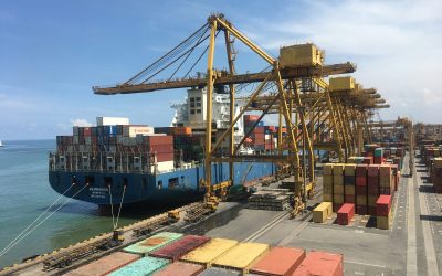 Port City Environments in Global Asia