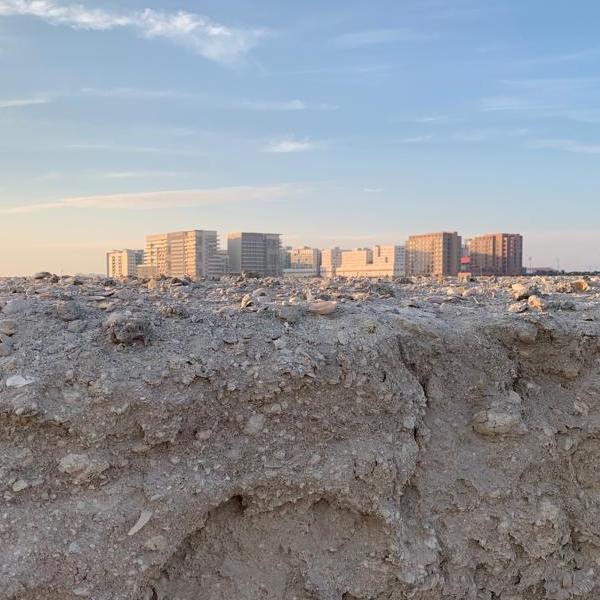 sand skyline