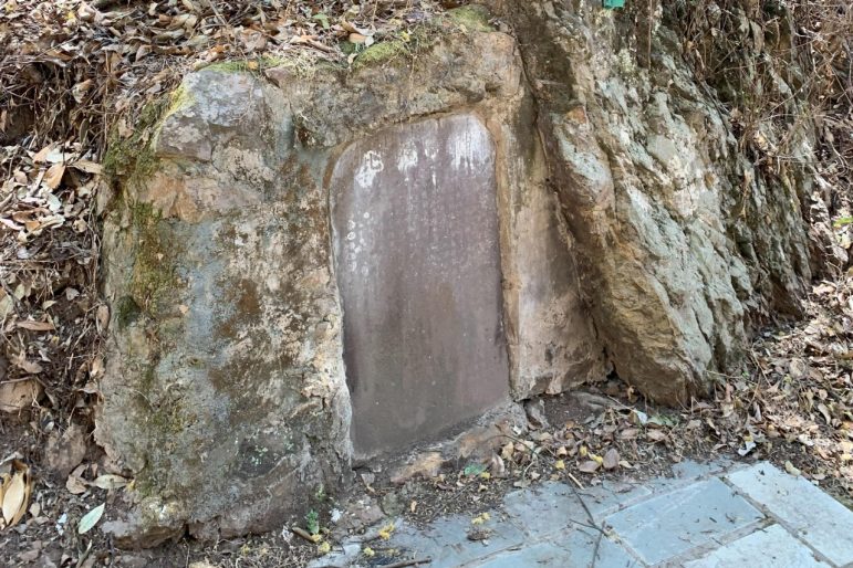 Confronting Environmental Change in Asia: Historical and Contemporary Perspectives