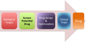 10_Drug Design