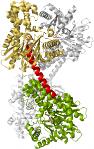 Hexonaise 2