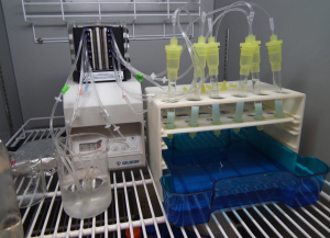High throughput