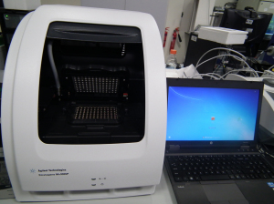 real time PCR